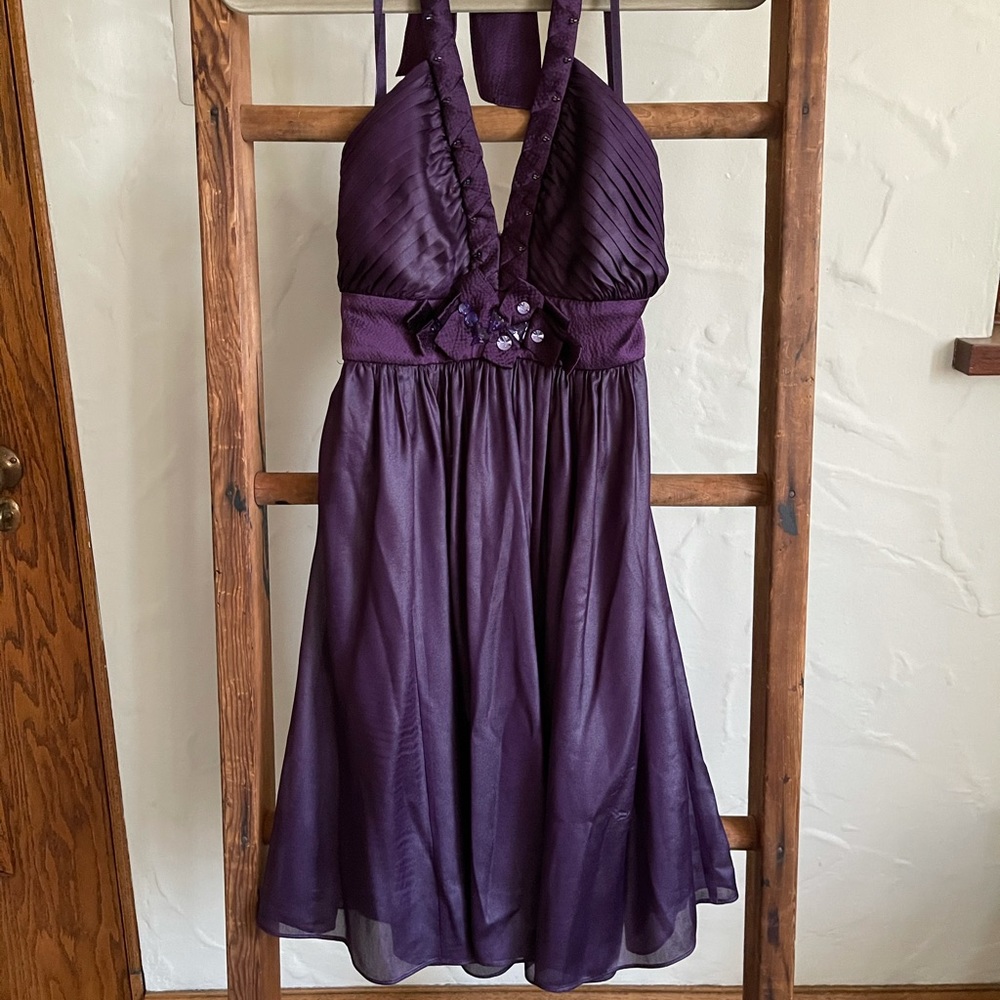 Silk BCBG Dress